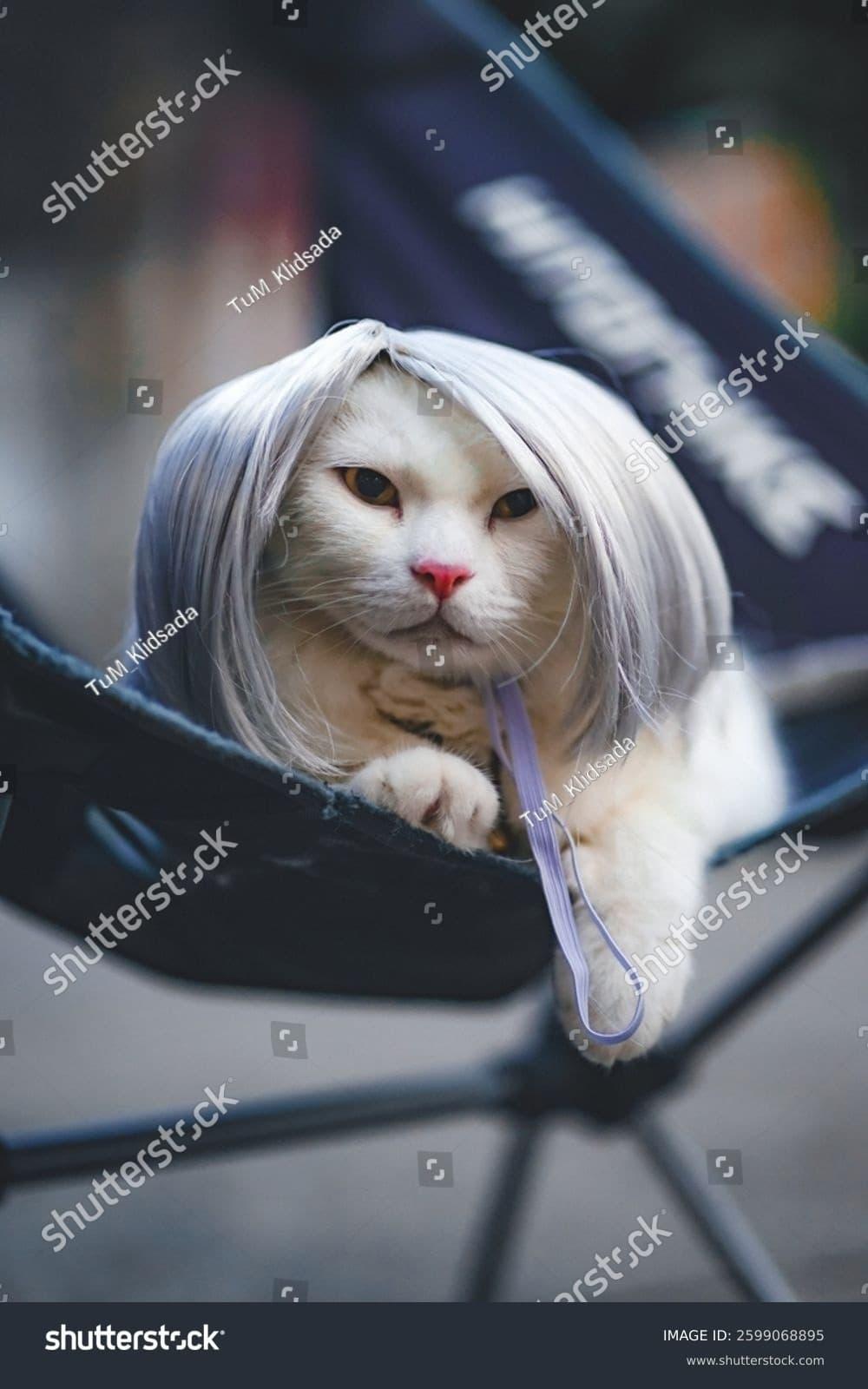 do you wear wigs copypasta deep dive - viral history, best remixes and how to riff on the meme