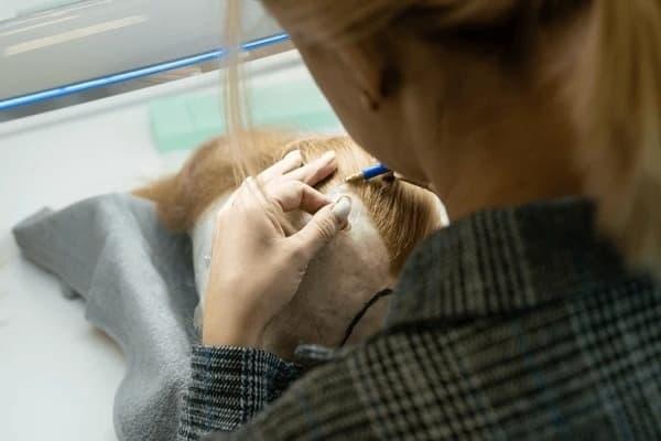 Honey Blonde Human Wig Buying Guide 7 Expert Tips for a Natural Look and Easy Care